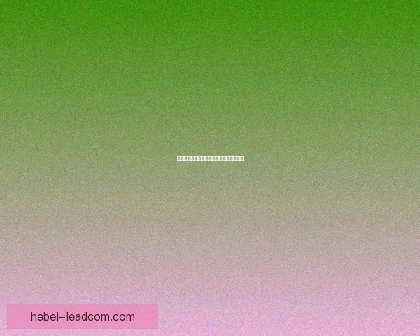 洛奇英雄传阵营技能全解析与优化建议探讨